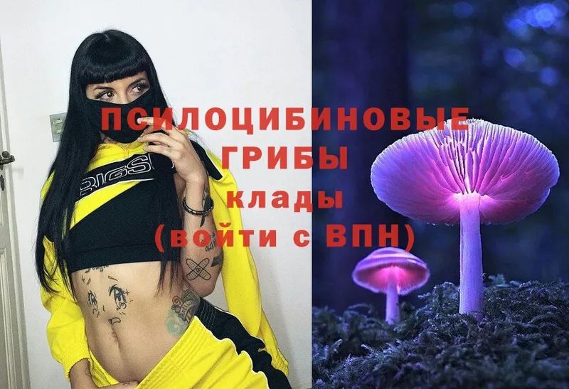 цены наркотик  Усть-Джегута  гидра ССЫЛКА  Галлюциногенные грибы MAGIC MUSHROOMS 